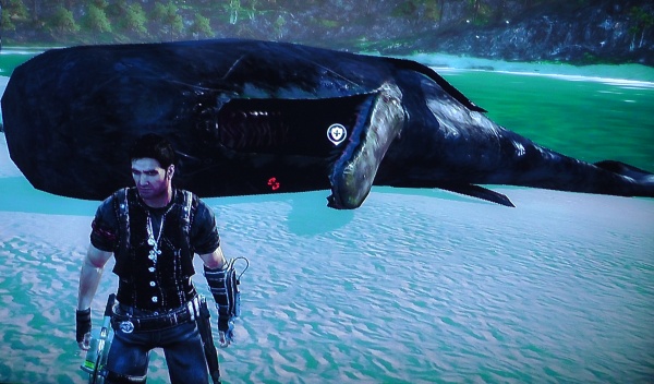 クジラの死体