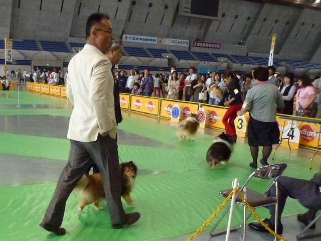 P1010145 - コピー.JPG