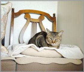 寝ちゃえば臭わん
