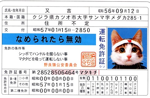 nameneko4