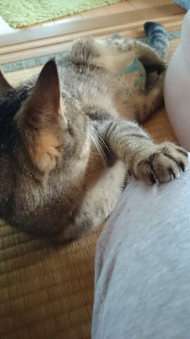 rblog-20141126170636-01.jpg