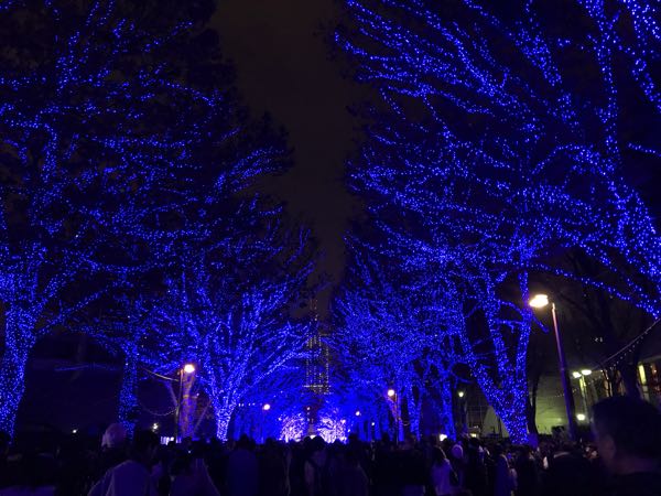 rblog-20181222224300-09.jpg