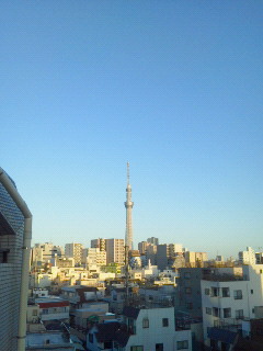 201303210606001.jpg