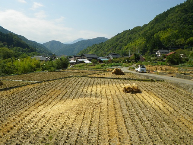 醍醐山秋色（３）.JPG
