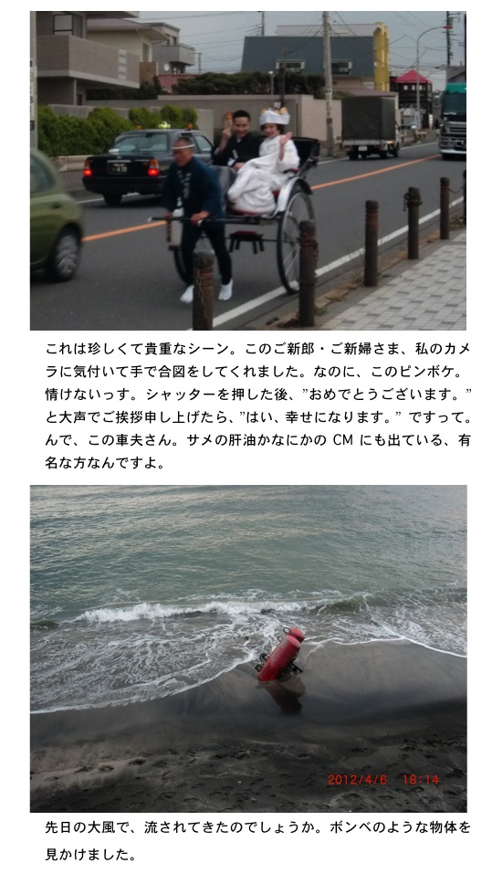 2012.04.07-3.jpg