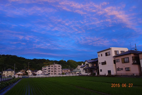 DSC02248.JPG