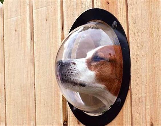 画像はイメージです