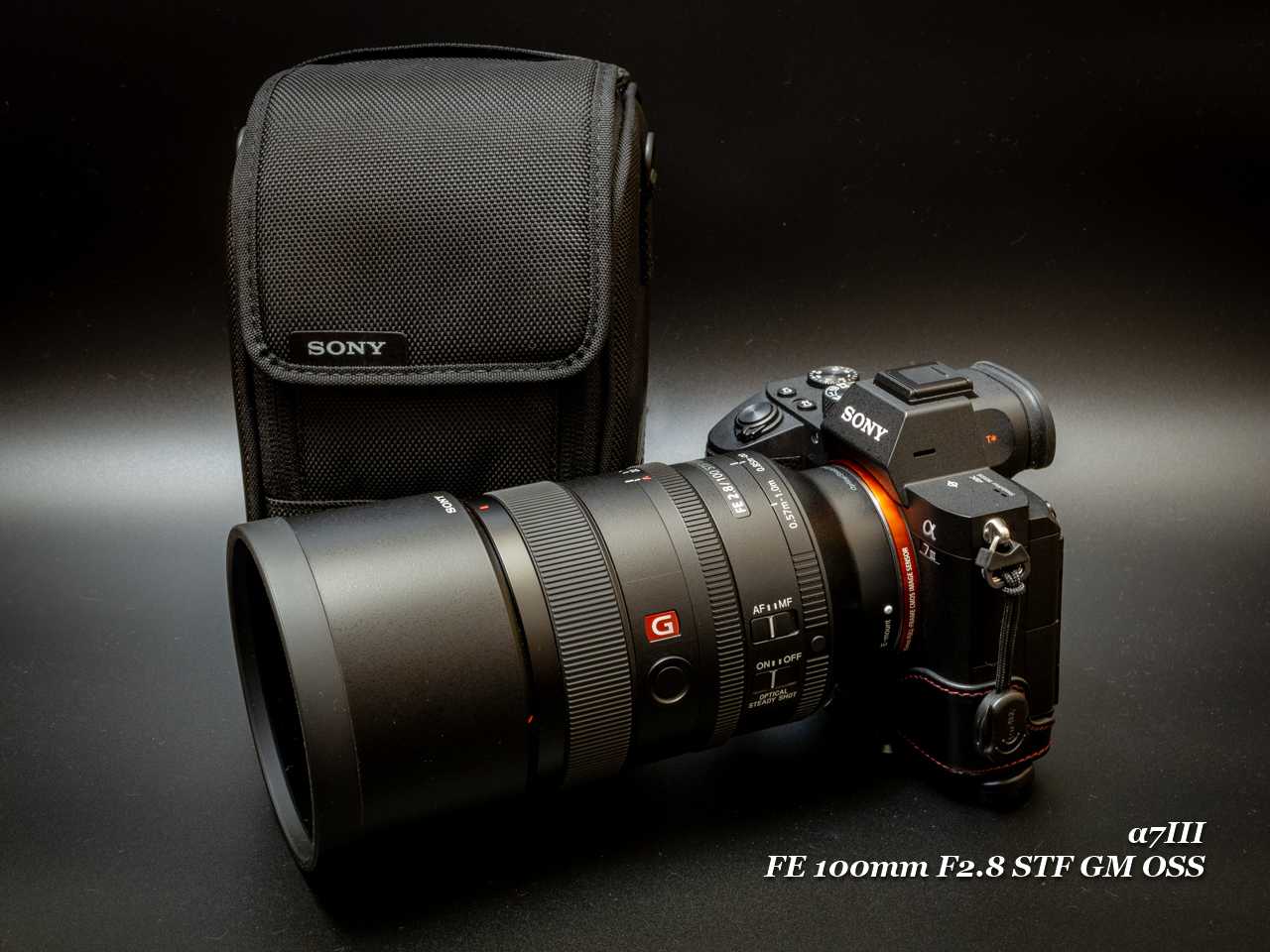 FE100mm F2.8 STF GM」玉ボケの謎 | ♡ With My Cobby - 楽天