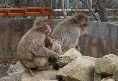 P1070020.jpg