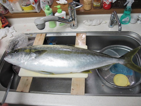 buri