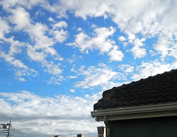 DSC_2501-28.jpg