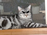 waru.jpg