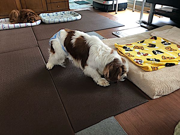 rblog-20180423141141-01.jpg