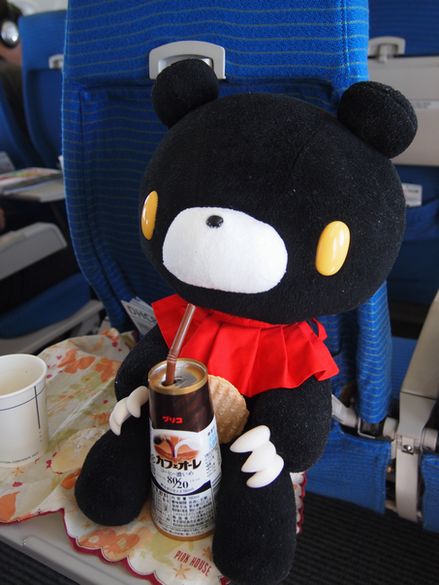 飛行機でまったり
