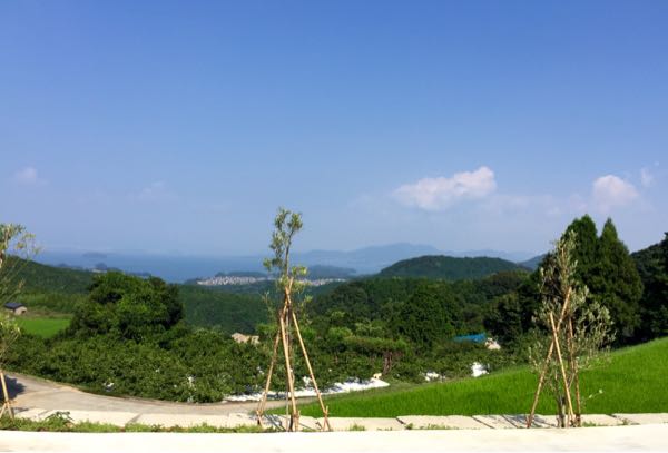 rblog-20160810190326-03.jpg