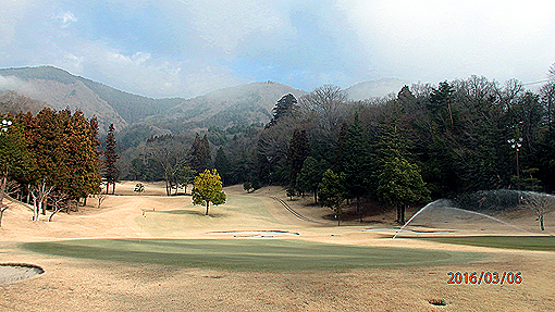 P3062850h2.jpg