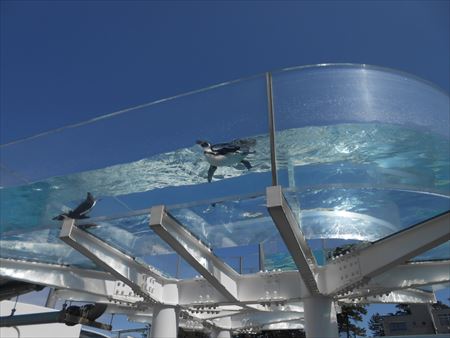 越前松島水族館