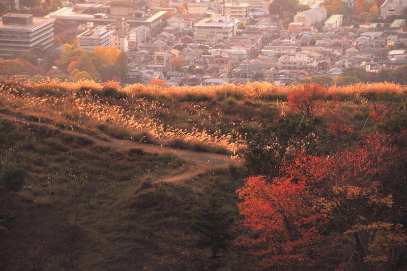 ss-若草山夕景_004.jpg