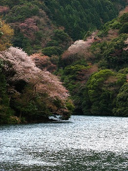 山水