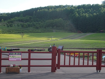 P7180530.jpg