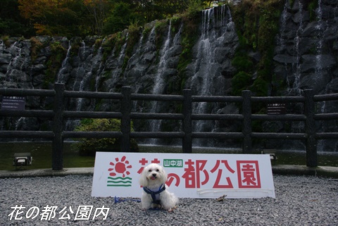 花の都公園