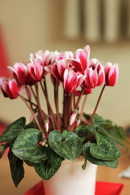 20130103.JPG