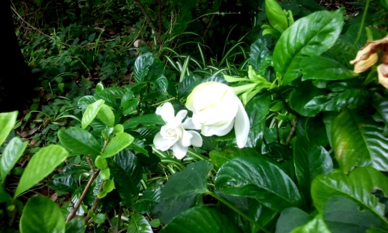 160629_1303-01.jpg