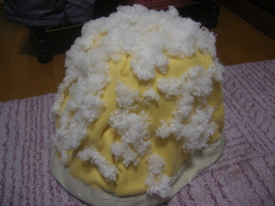 IMGP0982 (400x300).jpg