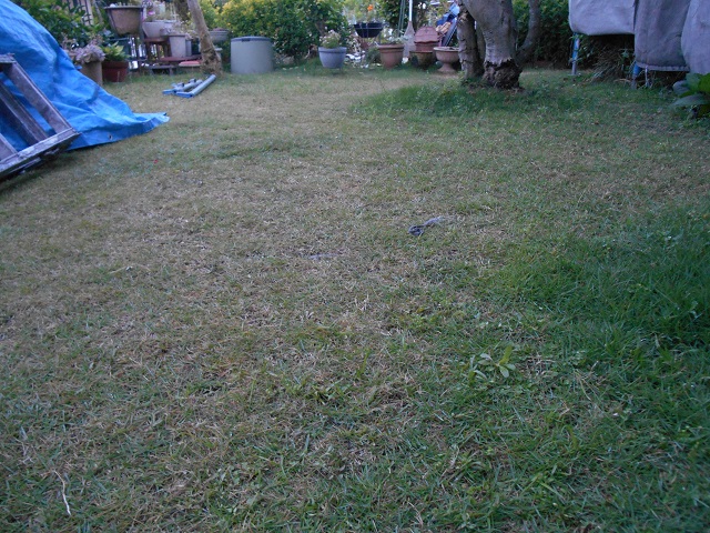 DSCN0553.JPG