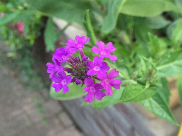 rblog-20160529204936-08.jpg