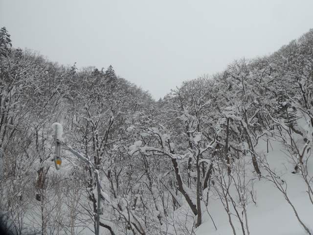 DSC09829_R.JPG