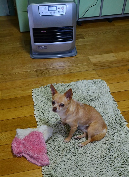 DSC_0326.JPG