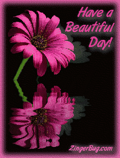 beautiful_day_reflecting_flower[1].gif