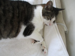 IMG_5409ss.jpg