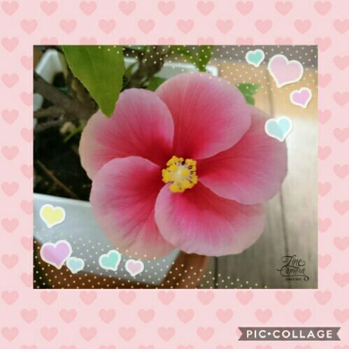 rblog-20190212212742-01.jpg