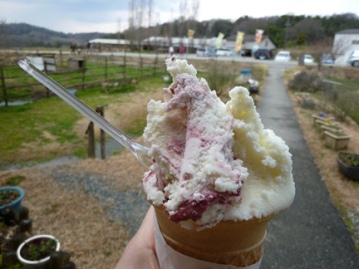 0324アイス.jpg