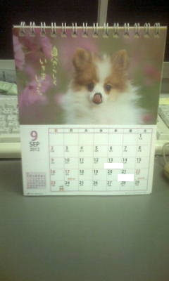 20120831230546.jpg