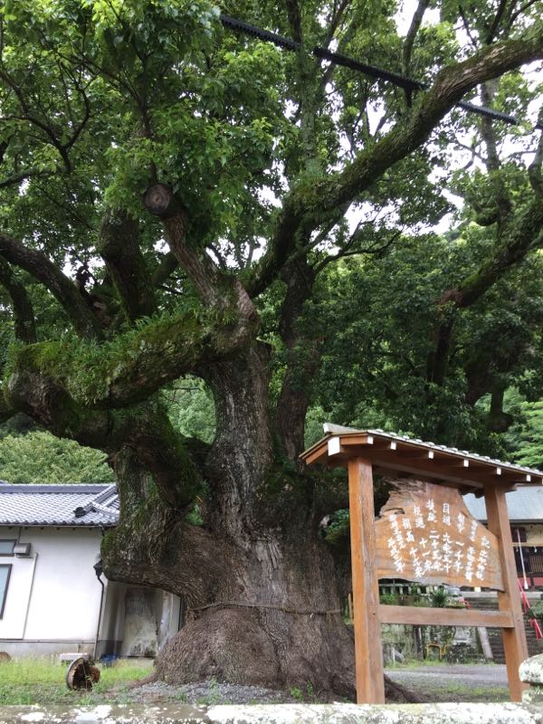 rblog-20180918072552-02.jpg