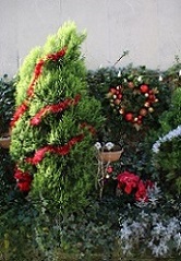 IMG_6214-25.jpg