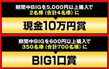 big.cpn.naiyou