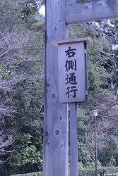 DSC_2132.jpg