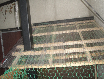 2013/04/28(4)