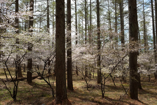 2016 04 20_3560.jpg