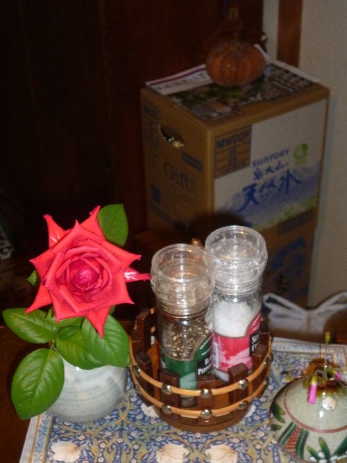 P1130037(1).JPG