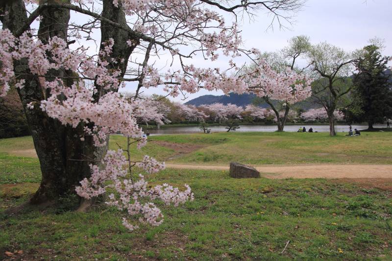 大沢池_001.jpg
