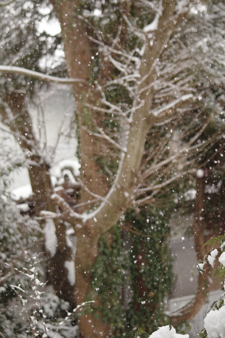 雪０２