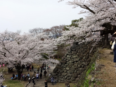 20160416_133018 (400x301) (2).jpg