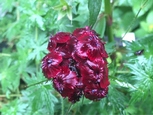 rblog-20160530192214-09.jpg