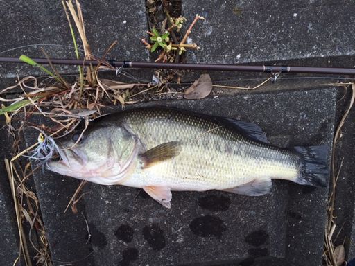 20151018_001.jpg