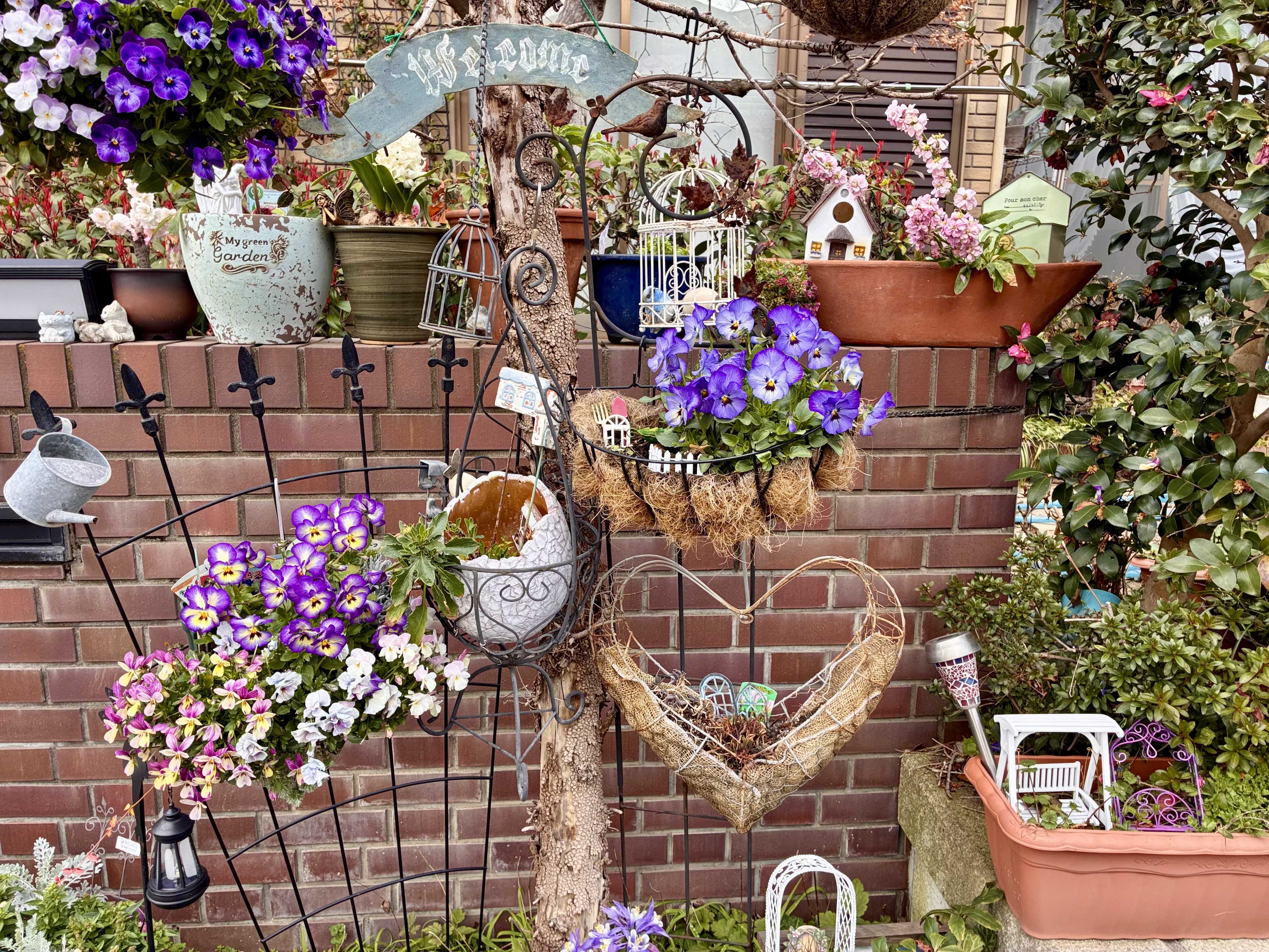 MUSIC LAND　－私の庭の花たち－